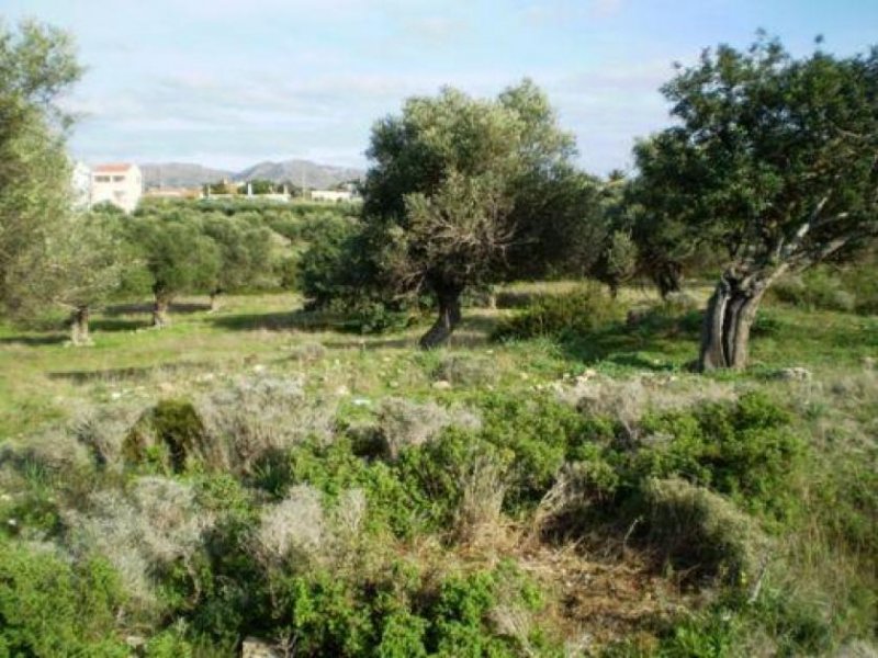 Chorafakia Chania Ruhige Lage in der Nähe von Dorf und Stränden Grundstück kaufen